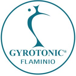 logo-studio-flaminio